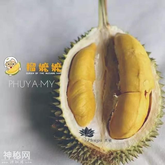 活动｜倒计时4天，超级食货星球终极玩乐指南曝光-32.jpg