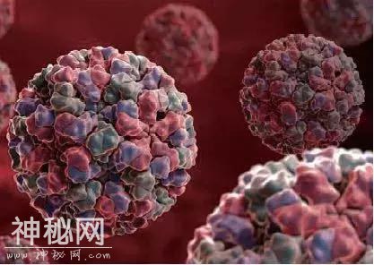 诺如病毒上热搜，它到底是个啥，如何防住它？-2.jpg