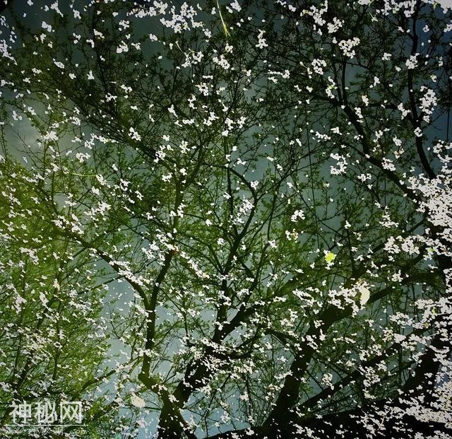 张龙生：一张照片，一个故事-24.jpg