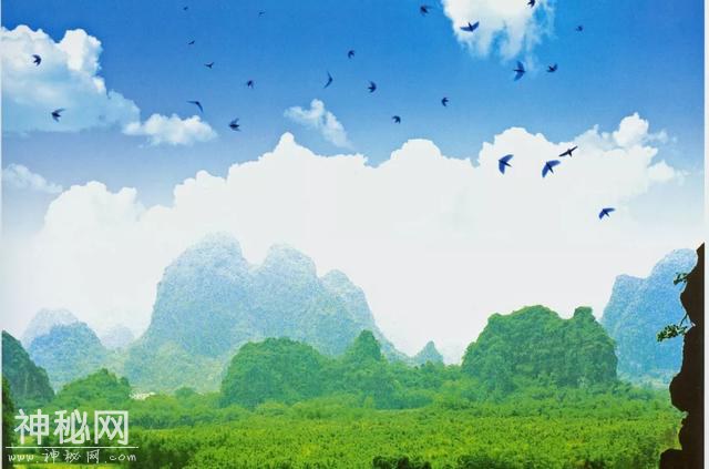 中国最佳！周末来肇庆这个地方纳凉，还能看“万燕朝阳”和攀岩绝技！-14.jpg