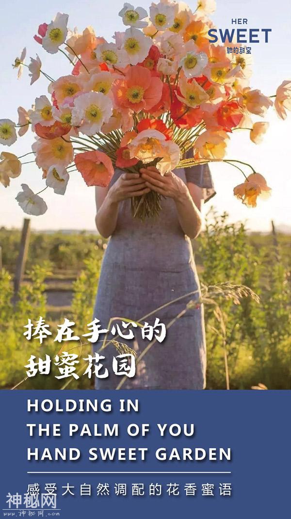 茶饮品牌她的甜蜜，符合现代消费者对健康养生的需求-2.jpg