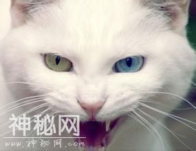 民间阴阳眼传人，真实口述见鬼方法-3.jpg