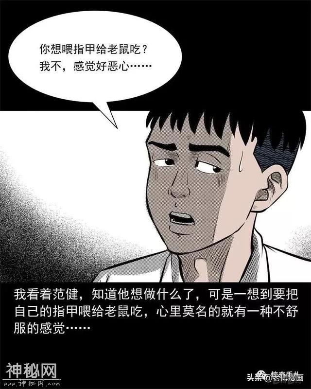 木偶漫画：民间真实故事，惊奇手札之老鼠成仙-11.jpg