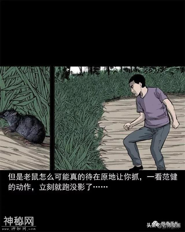 木偶漫画：民间真实故事，惊奇手札之老鼠成仙-14.jpg