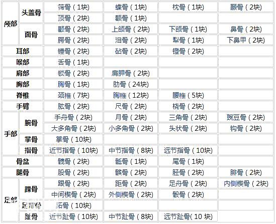 「了解自己」人体的全部骨骼（全套系统图）-1.jpg