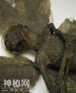 长翅膀的人形怪物：基因突变还是奇特物种？-3.jpg