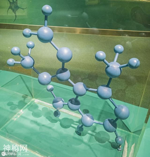 高中生物如何高效复习？学习生物需要注重学习技巧-1.jpg