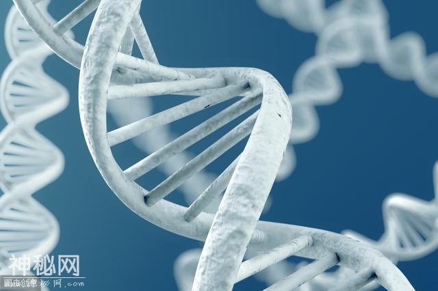 高中生物如何高效复习？学习生物需要注重学习技巧-4.jpg