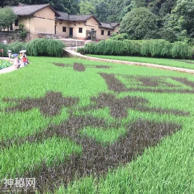 湘府实业集团——重温历史，回味经典，砥砺前行-2.jpg