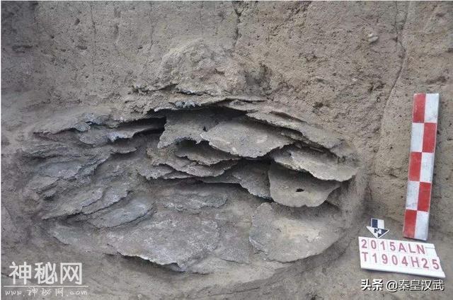 考古专家挖了8座女性古墓，推翻商朝最大冤案，周武王开了个坏头-5.jpg