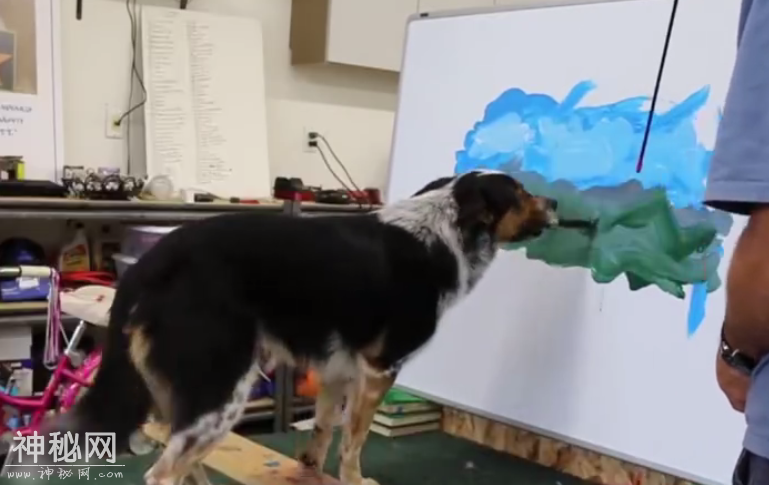 这么多的绘画作品，怎么会是动物的杰作呢-3.jpg