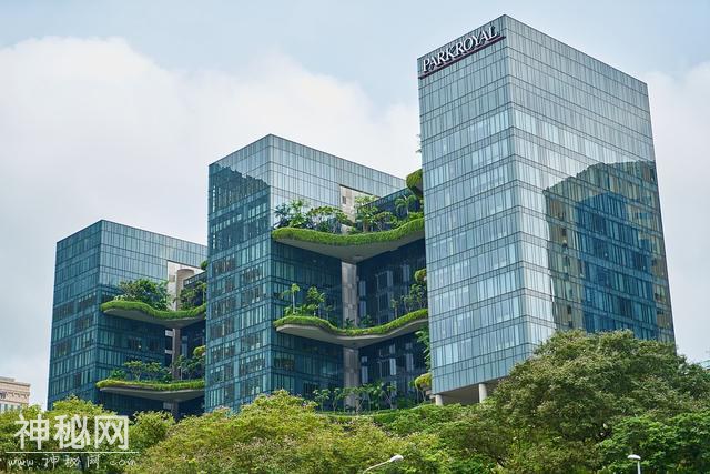 了解才能更适应，新加坡风俗习惯介绍-1.jpg
