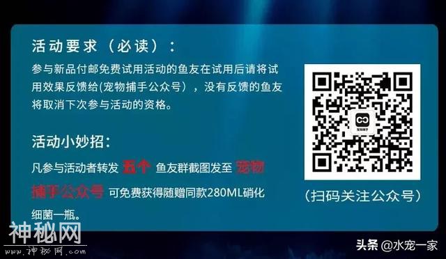 100份大容量硝化细菌！付邮免费试用-7.jpg