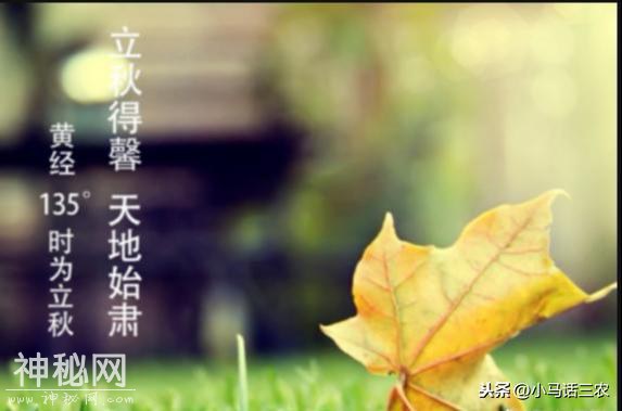 2019年什么时候立秋，立秋有什么风俗习惯，立秋后天气会凉爽吗-5.jpg