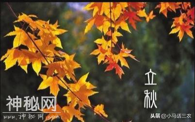 2019年什么时候立秋，立秋有什么风俗习惯，立秋后天气会凉爽吗-1.jpg