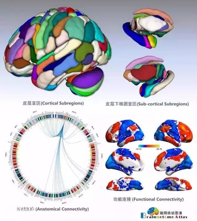 不再是科幻，当“脑机连接”，我们又该如何风控？-3.jpg
