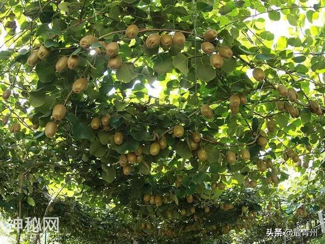 游青州古城，研民俗文化-11.jpg
