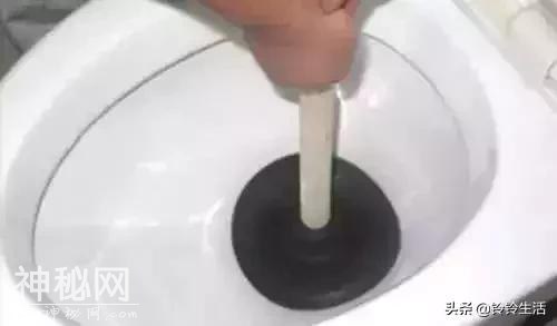 老婆把马桶刷摆在马桶上，解决了滋生细菌的源头-10.jpg