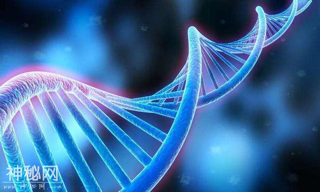 《科学》：首个细胞核内病毒DNA免疫识别受体被发现-1.jpg