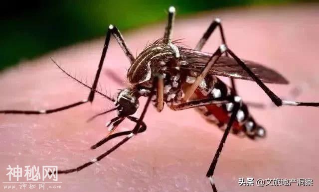 发生在云南的奇怪风俗，你了解多少-15.jpg