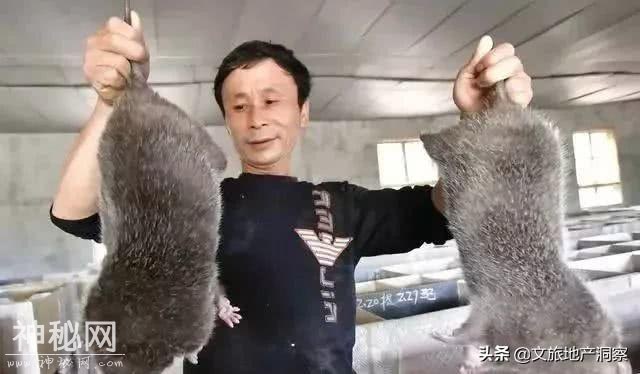发生在云南的奇怪风俗，你了解多少-43.jpg