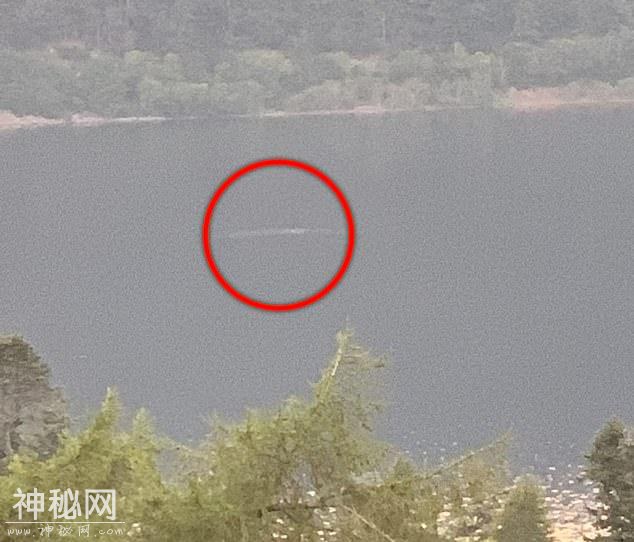 尼斯湖水怪今年第12次被拍到，网友吐槽：拍水怪像素倒退几十年？-1.jpg