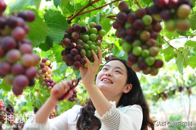 这个药被称为“万能药”，专治各种疑难杂症，真菌细菌病毒通杀-5.jpg