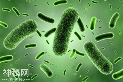 细菌比人类小上亿倍，那宇宙中是否存在比人类大上亿倍的生物？-1.jpg