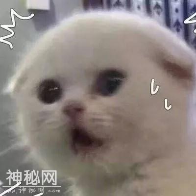 美妆UFO丨快来领取霸气冷美人周雨彤的独宠招数-21.jpg