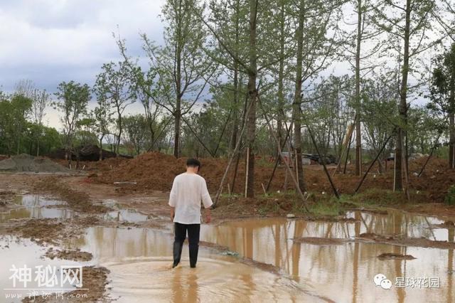 建园日记 | 梅雨季 三伏天 星球花园建设HARD模式开启-10.jpg