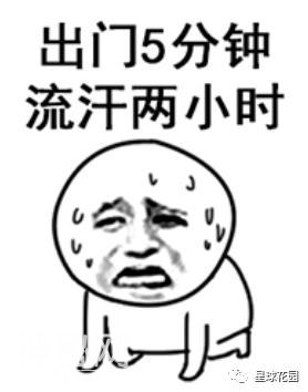 建园日记 | 梅雨季 三伏天 星球花园建设HARD模式开启-34.jpg