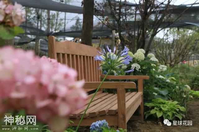 建园日记 | 梅雨季 三伏天 星球花园建设HARD模式开启-41.jpg