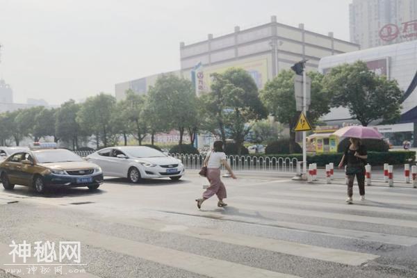 礼让行人到底该怎么让？不是看到路人就得停下，很多司机都做错了-8.jpg