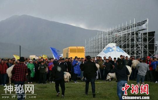 新疆草原民俗：抱小绵羊接力比赛吸引游客围观-3.jpg