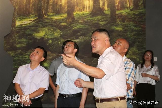 2019首届火山文化节盛大开幕 仪征捺山地质博物馆开馆-21.jpg
