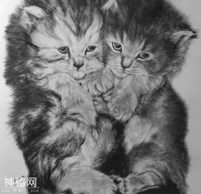 素描动物毛发技法，从入门到精通，我的手从此再也不是爪-75.jpg