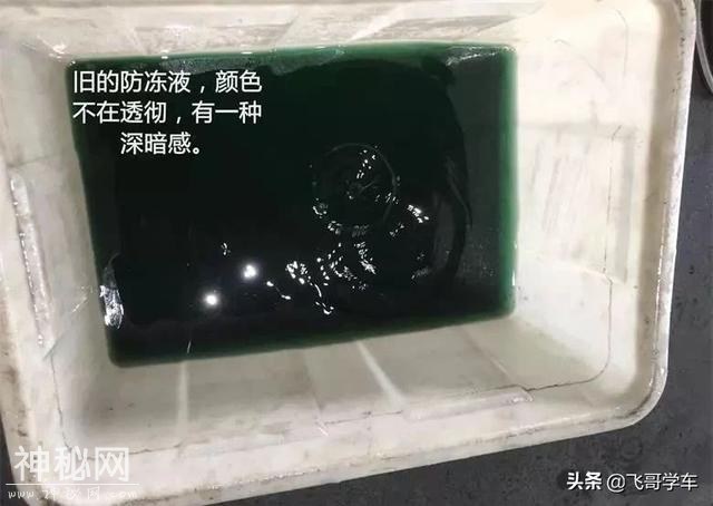 「每日养车」宝马5系正确的大保健方式，了解一下-12.jpg