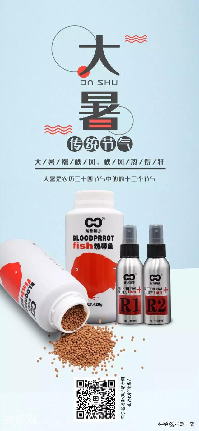 500ml+280ml硝化细菌一次让你用够，重点是免费、免费、免费-1.jpg