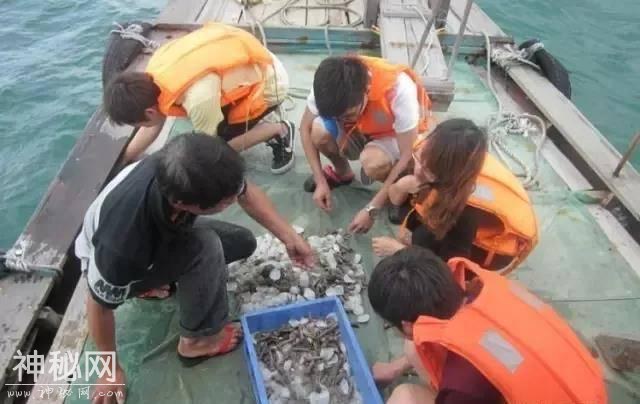 惠州·巽寮湾~全球首发UFO网红海边泳池！299元秒杀原价888元中航-64.jpg