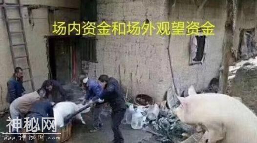 A股游资大佬终于发声了，为什么总是跌跌不休止，究竟是谁在操纵着中国股市？看完这篇文章就明白了-2.jpg