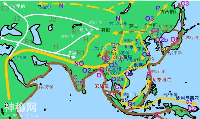 你的身体流着谁的血，元谋人、蓝天人、还是北京人？-7.jpg
