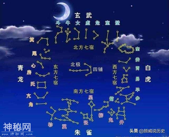 河南发现6000年前古墓，内藏“中华第一龙”，原来古代真有“龙”-10.jpg