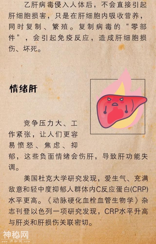 健康养生||一份《高危肝脏图鉴》：8件事修复你日积月累受伤的肝-5.jpg