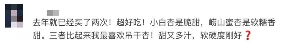 给你讲个鬼故事，八月了，树上熟吊干杏快没了-3.jpg