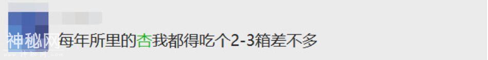 给你讲个鬼故事，八月了，树上熟吊干杏快没了-10.jpg