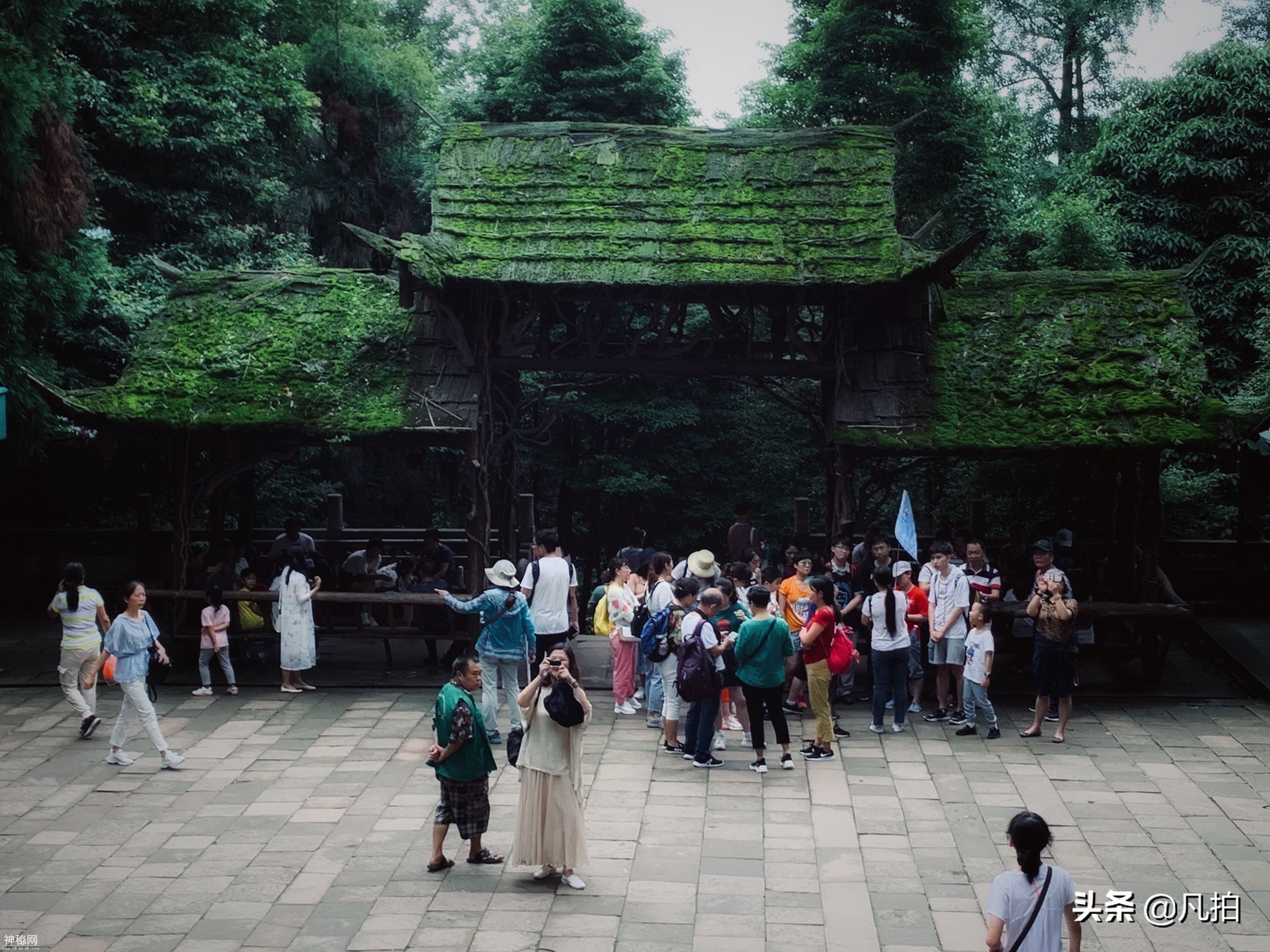 问道青城山：纵横千年，活的道教“博物馆”-3.jpg