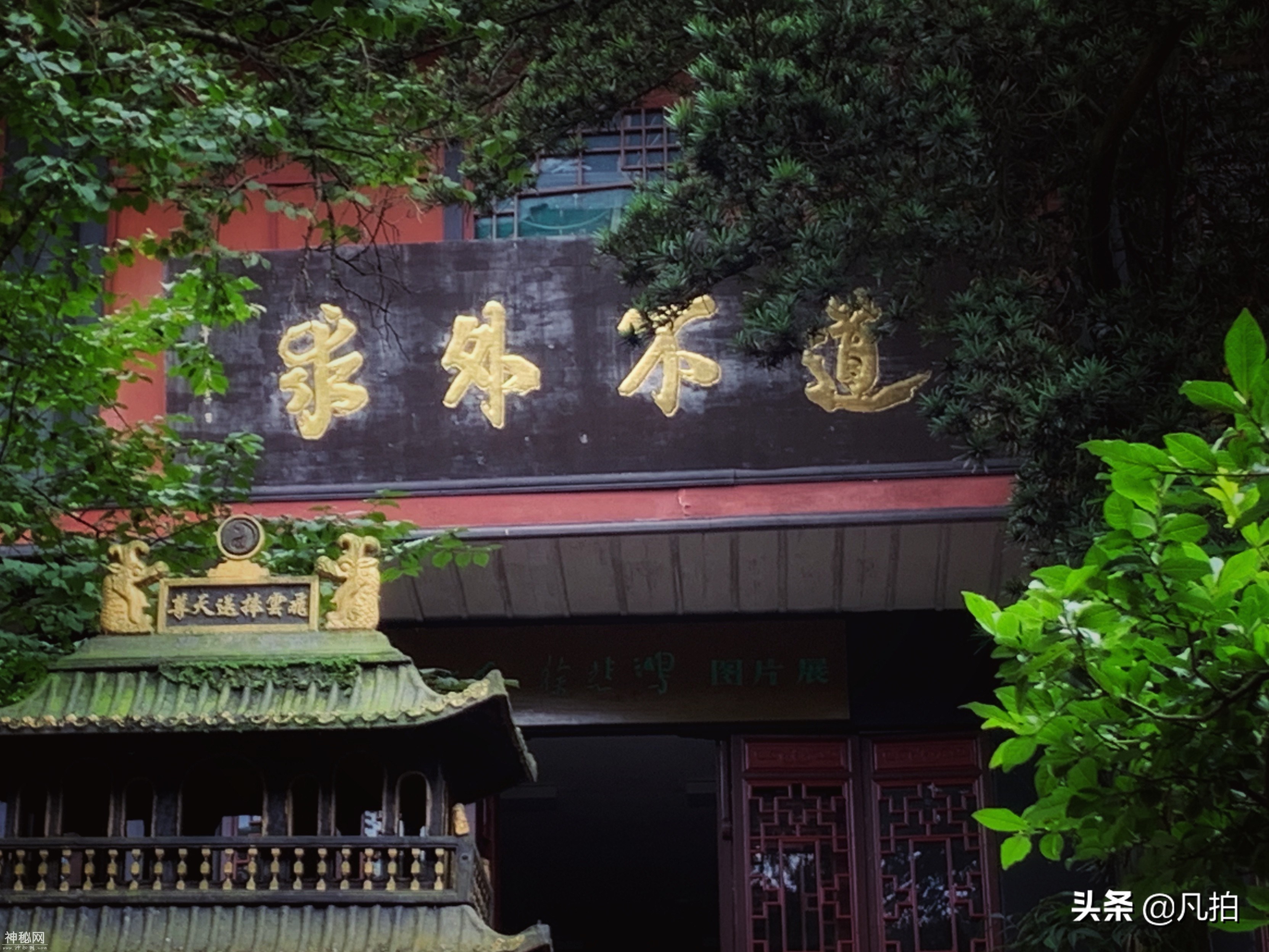 问道青城山：纵横千年，活的道教“博物馆”-5.jpg