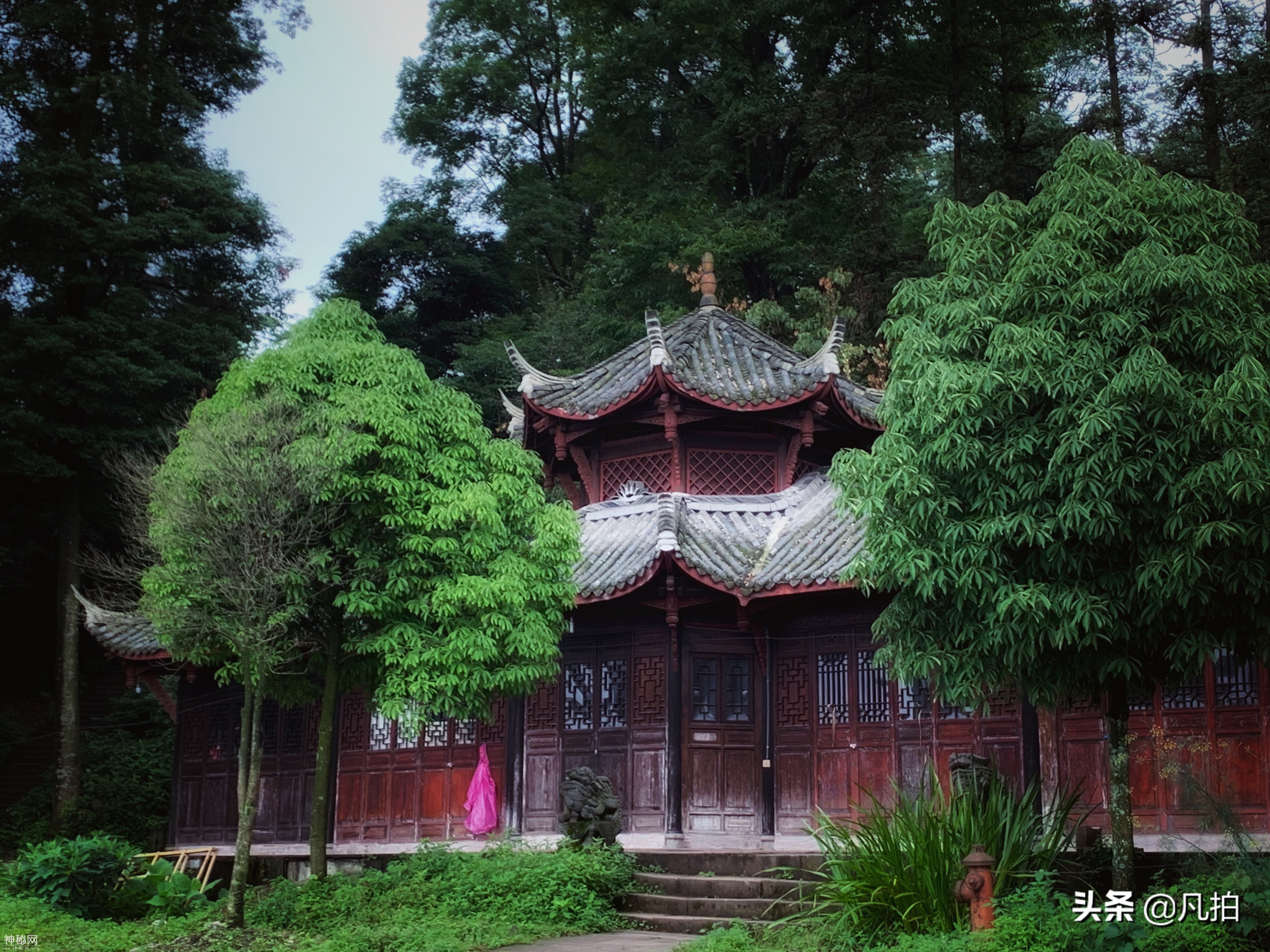 问道青城山：纵横千年，活的道教“博物馆”-7.jpg