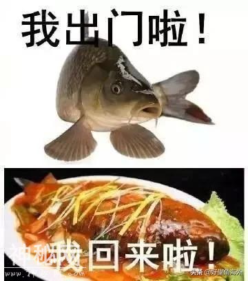 身临其境！又一个科幻片里的新技术已经成为了现实-2.jpg