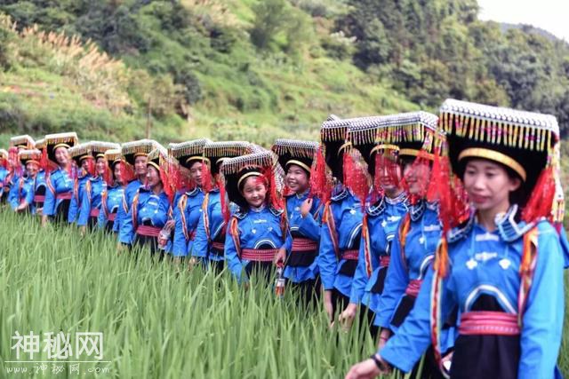 龙胜大罗村举办盘瑶民俗文化节（多图）-7.jpg